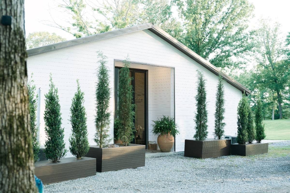 The front walk, lined with Italian cypress