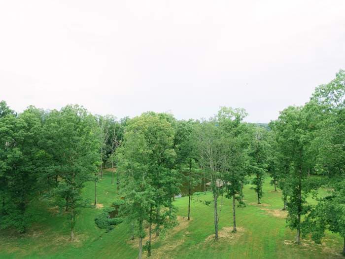 The View at Anderson Farm